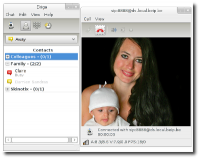 Ekiga 4.0.0 screenshot. Click to enlarge!