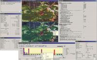 Elecard StreamEye Studio 1.1 screenshot. Click to enlarge!