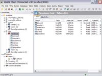 EngInSite MySQL Client 1.4.9.175 screenshot. Click to enlarge!