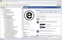 Enselor Downloader 2.1 screenshot. Click to enlarge!
