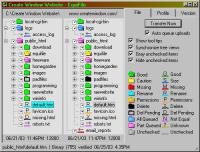 EquiFile FTP Client / Website Synchronizer 2.2.8.1 screenshot. Click to enlarge!