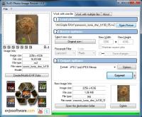 EvJO Photo-Image Resizer 3.0 screenshot. Click to enlarge!