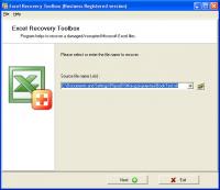 Excel Recovery Toolbox 1.4.24 screenshot. Click to enlarge!