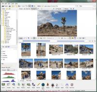 ExifPro 2.1.0 screenshot. Click to enlarge!