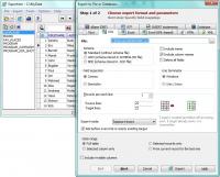 Exportizer 6.1.2 screenshot. Click to enlarge!