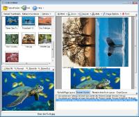 Ez-PicPrint 2.5 screenshot. Click to enlarge!