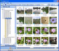 F-Album 1.8.0 screenshot. Click to enlarge!