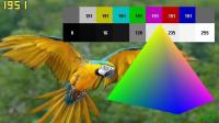 FRAFS Test Pattern 0.5.5.5 Beta screenshot. Click to enlarge!