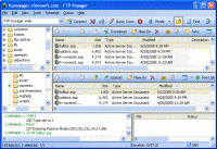 FTP Voyager 16.0.2.0 screenshot. Click to enlarge!