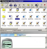 FTPDummy! 4.80 screenshot. Click to enlarge!