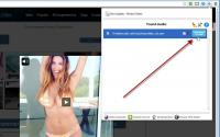 FVD Video Downloader 6.3.1 screenshot. Click to enlarge!