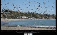 FastPhotoTagger 2.8 screenshot. Click to enlarge!