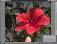 FastRawViewer 1.3.9.1070 screenshot. Click to enlarge!