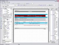 FastReport for Business 4.9 screenshot. Click to enlarge!