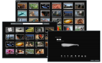 Fav-Links 3.2 screenshot. Click to enlarge!