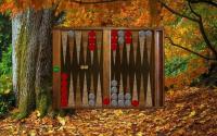 FiBzilla Backgammon 5.0.16 screenshot. Click to enlarge!