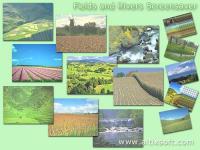 Fields and Rivers Screensaver 1.0 screenshot. Click to enlarge!