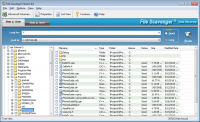 File Scavenger 4.1 Rev 1 screenshot. Click to enlarge!