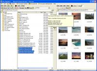 File Organiser 1.720 screenshot. Click to enlarge!