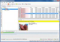 FileRescue for NTFS 4.2 screenshot. Click to enlarge!