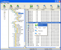 FineRecovery 5.0 screenshot. Click to enlarge!