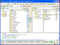 FireFTP Add-on 2.0.8.1 screenshot. Click to enlarge!