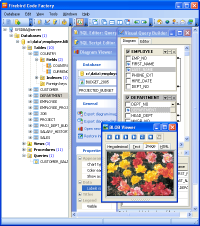 Firebird Code Factory 13.9.0.1 screenshot. Click to enlarge!