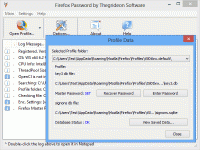 Firefox Password 2017-06-25 screenshot. Click to enlarge!