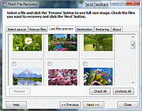 Flash File Recovery 7.0 screenshot. Click to enlarge!