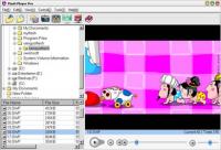 Flash Player Pro 5.5 screenshot. Click to enlarge!