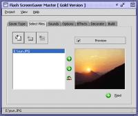 Flash ScreenSaver Master for to mp4 4.39 screenshot. Click to enlarge!