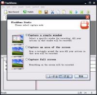 FlashDemo Screen Recorder 2.27 screenshot. Click to enlarge!