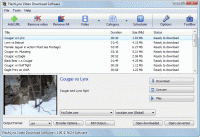 FlashLynx Video Download Software Professional 1.23 Beta screenshot. Click to enlarge!