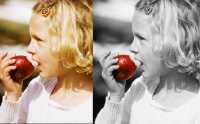 Fly Photo Editor for Facebook Chrome Extension 1.0.4 screenshot. Click to enlarge!