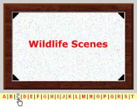 Frame-It 1.1 screenshot. Click to enlarge!