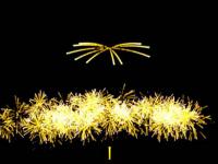 Free 3D Fireworks 1.76 screenshot. Click to enlarge!