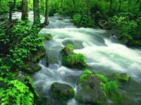 Free Beautiful Nature Screensaver 1.0 screenshot. Click to enlarge!