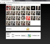 Free Gif Effect 1.0 screenshot. Click to enlarge!