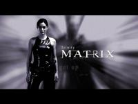 Free Matrix Code Screensaver 1.0 screenshot. Click to enlarge!