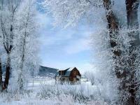 Free Snowy Winter Screensaver 1.0 screenshot. Click to enlarge!