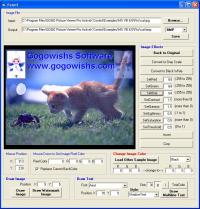 GOGO Picture Viewer Pro ActiveX Control 4.26 screenshot. Click to enlarge!
