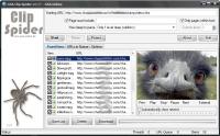 GSA Clip Spider 2.70 screenshot. Click to enlarge!