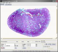GSA Image Analyser 4.0.9 screenshot. Click to enlarge!