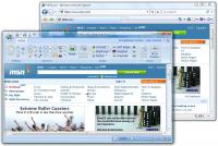 Gadwin Web Snapshot 2.5 screenshot. Click to enlarge!