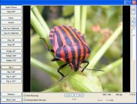 GdViewer Pro ActiveX - Site License 4.12.0 screenshot. Click to enlarge!