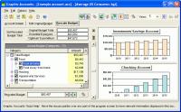 Graphic Accounts 1.3 screenshot. Click to enlarge!