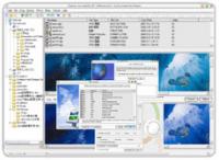 Graphics Converter Pro 2011 2.41.110920 screenshot. Click to enlarge!