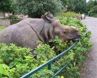 Great One-horned Rhinoceros Screensaver 1.2 screenshot. Click to enlarge!