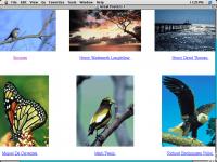 Great Posters vol.1 1.0 screenshot. Click to enlarge!