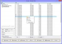 GuardAxon 4.5 screenshot. Click to enlarge!